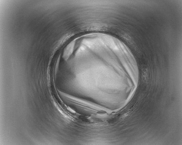 X0000060550678200511171539