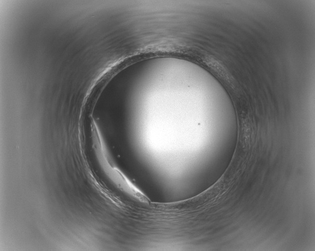 X0000060550680200511171539