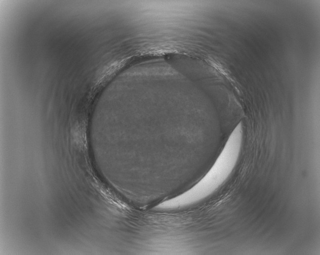 X0000060550681200511171539