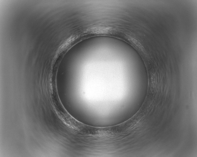 X0000060550682200511171539