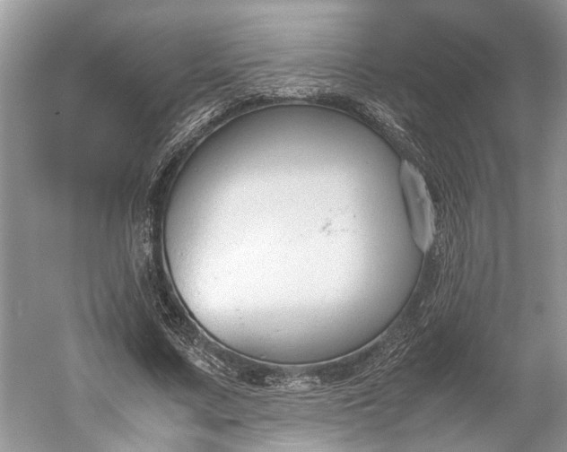 X0000060550683200511171539