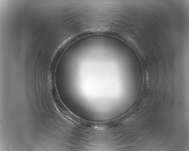 X0000060550684200511171539