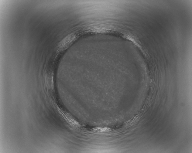 X0000060550685200511171539