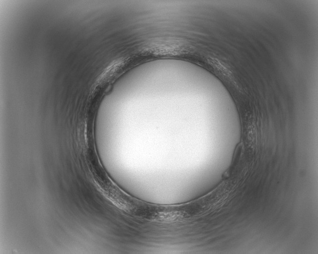 X0000060550686200511171539