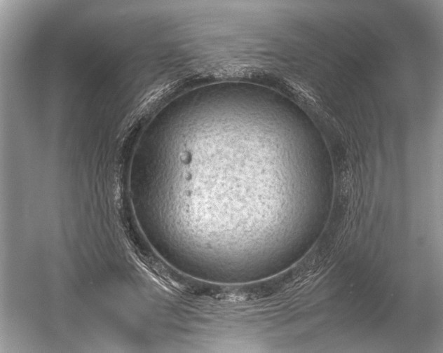 X0000060550687200511171539