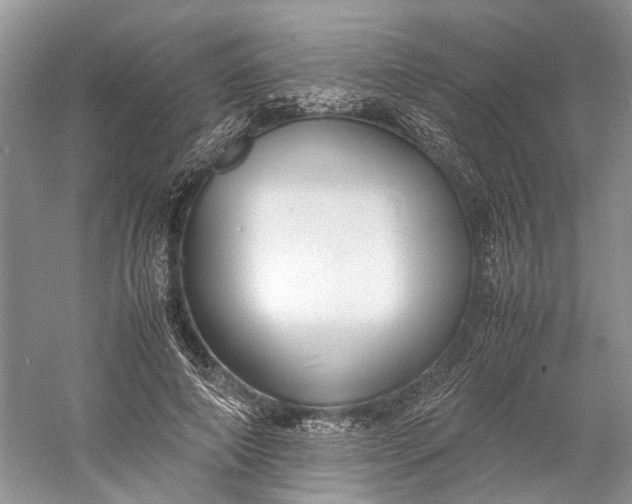 X0000060550690200511171539