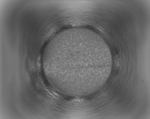 X0000060550691200511171539