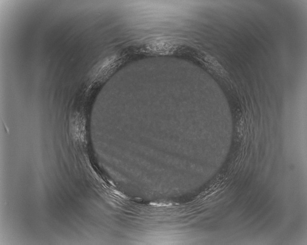 X0000060550693200511171539