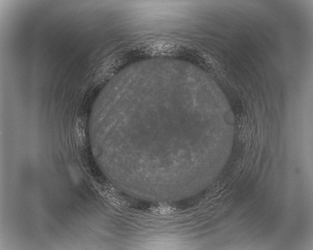 X0000060550695200511171539