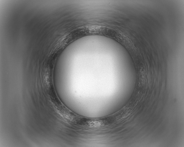 X0000060550698200511171539