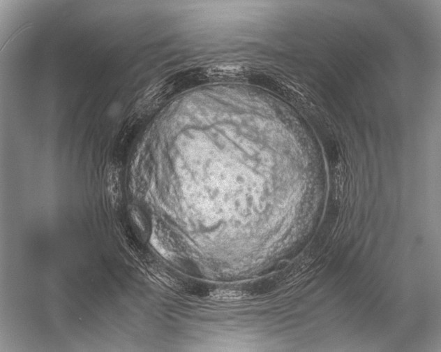 X0000060550699200511171539