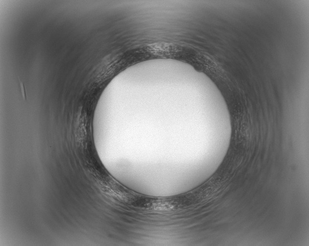 X0000060550702200511171539