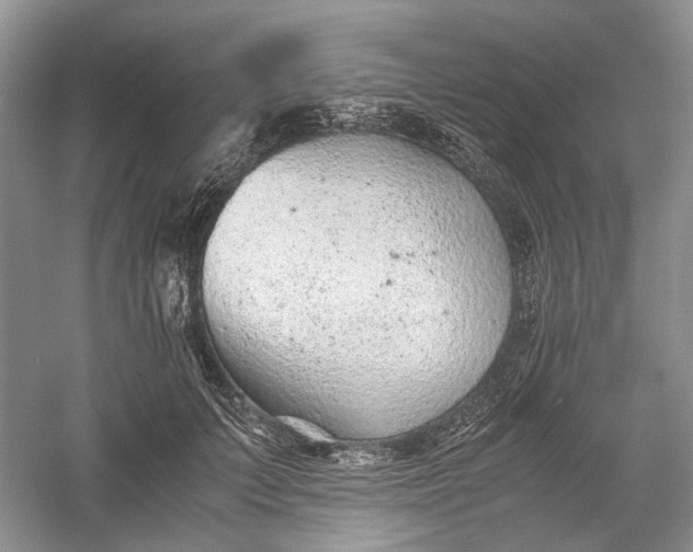 X0000060550703200511171539