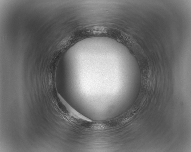 X0000060550704200511171539