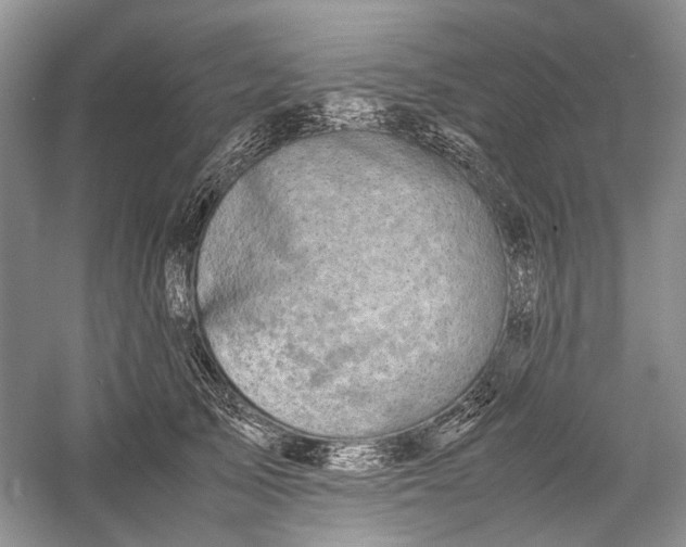 X0000060550705200511171539