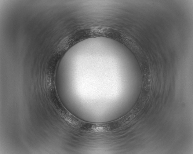 X0000060550706200511171539