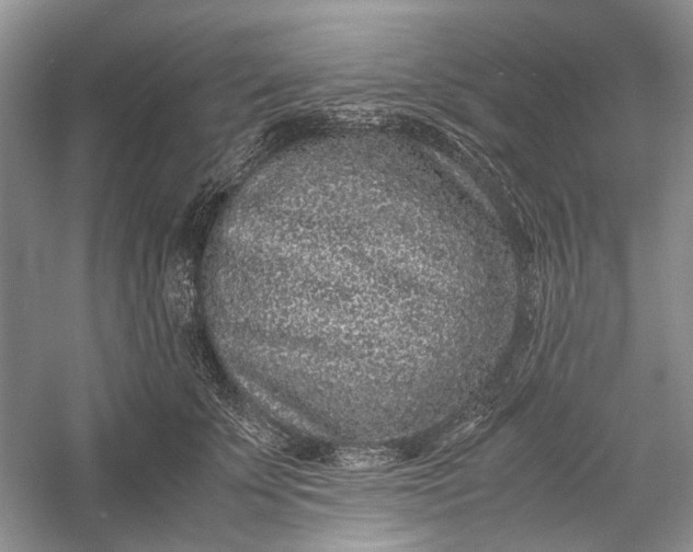 X0000060550707200511171539