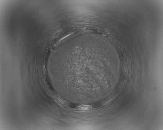 X0000060550711200511171539