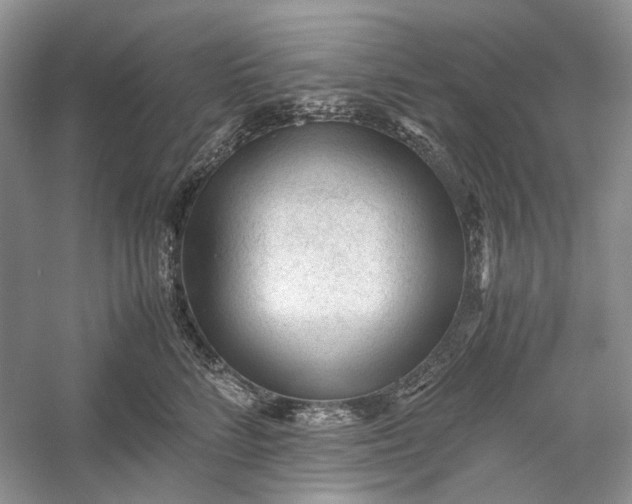 X0000060550712200511171539