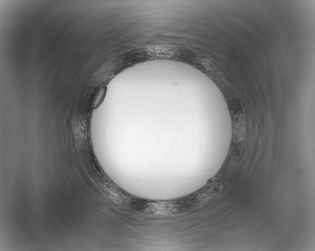 X0000060550713200511171539