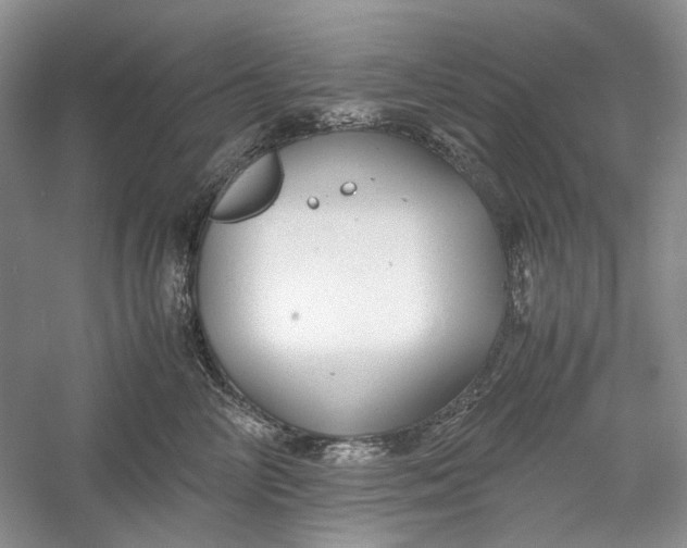 X0000060550714200511171539