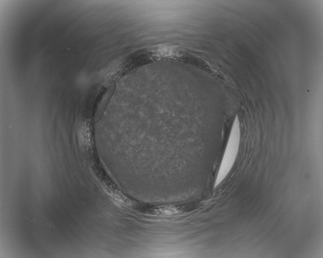 X0000060550715200511171539