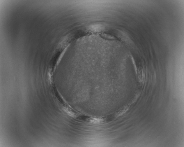 X0000060550718200511171539