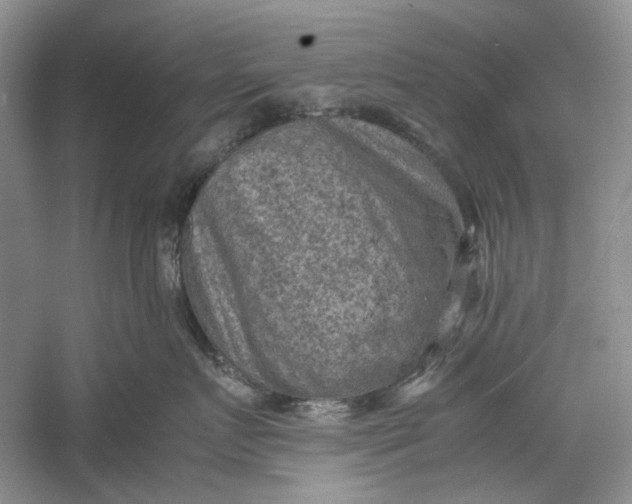 X0000060550719200511171539