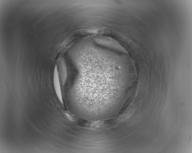 X0000060550720200511171539