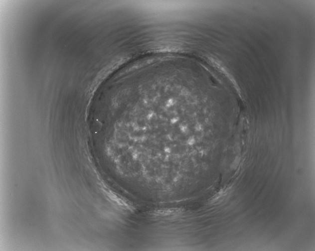 X0000060550721200511171538