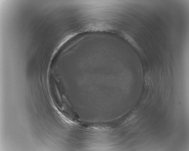 X0000060550722200511171538