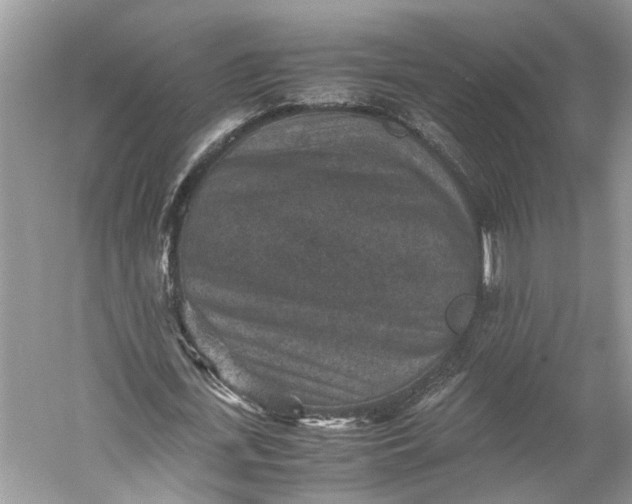 X0000060550723200511171538