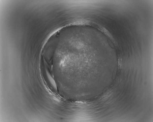 X0000060550724200511171538