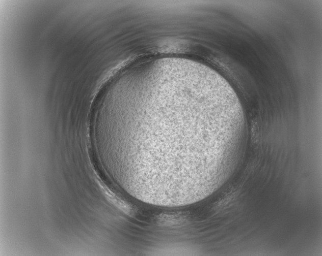 X0000060550725200511171538