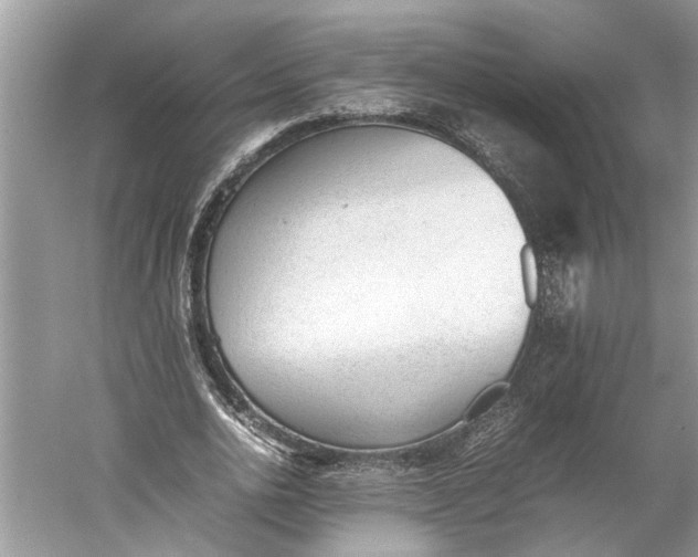 X0000060550726200511171538