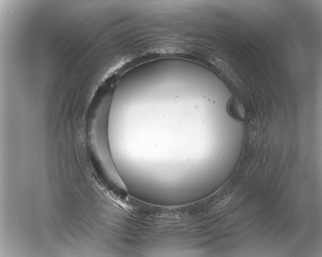 X0000060550727200511171538