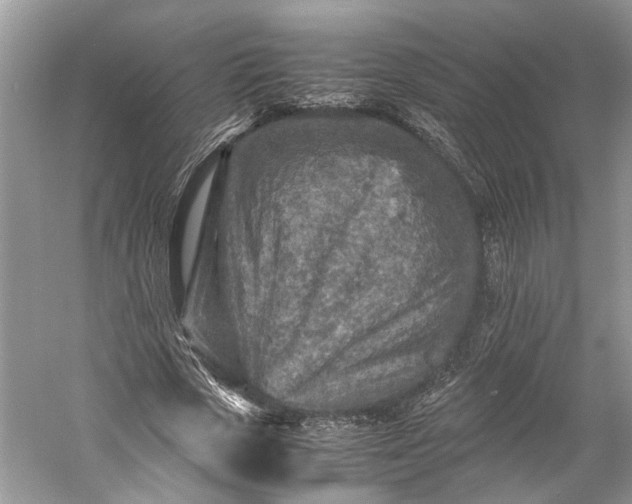 X0000060550729200511171538