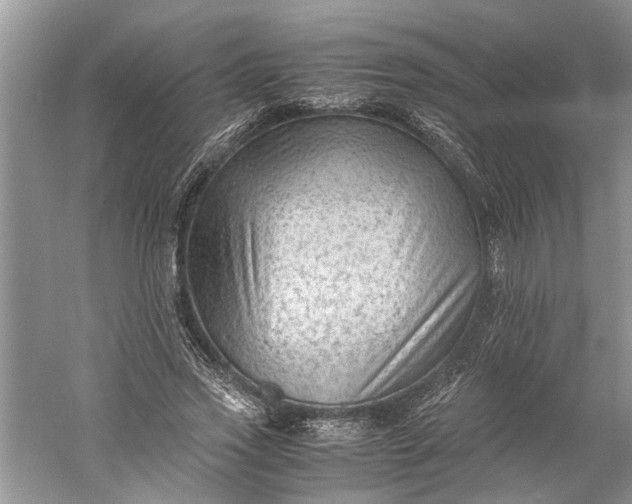 X0000060550733200511171538