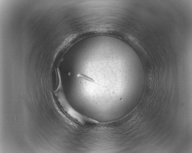 X0000060550734200511171538