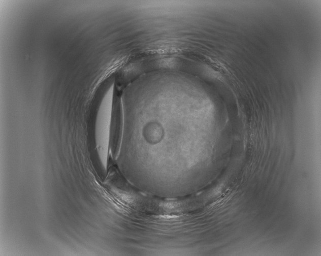 X0000060550735200511171538