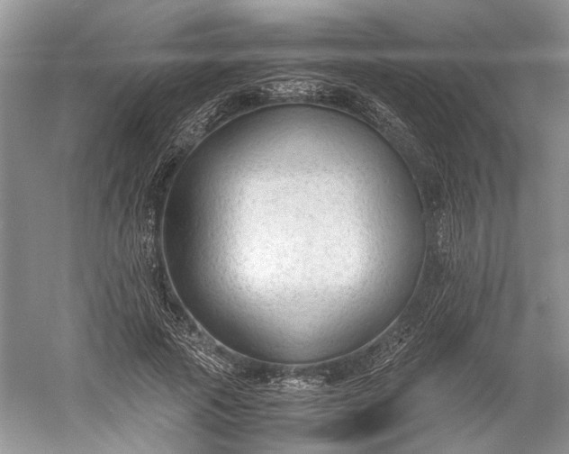 X0000060550737200511171538