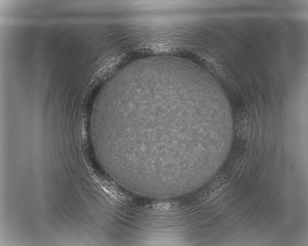 X0000060550740200511171538