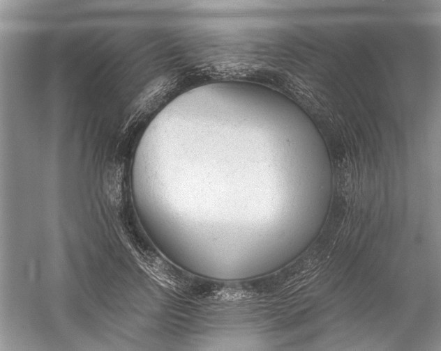 X0000060550742200511171538