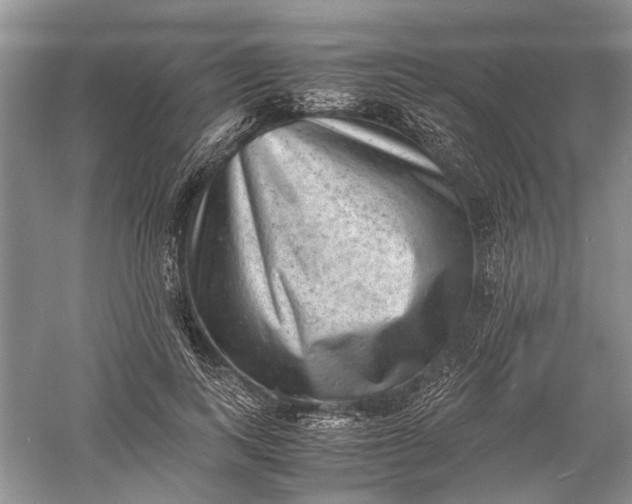 X0000060550743200511171538