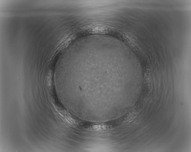 X0000060550744200511171538