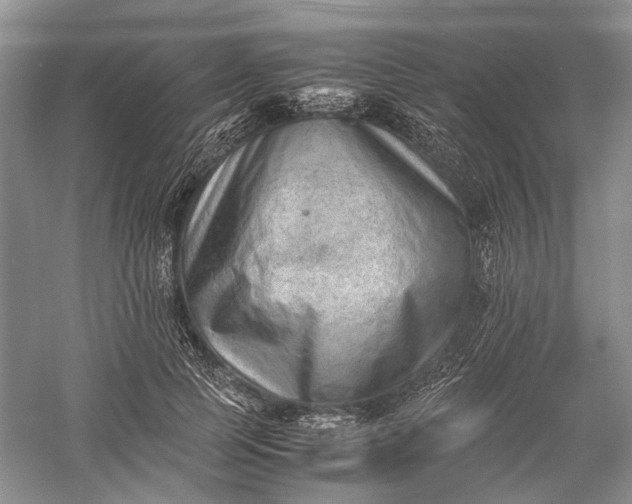 X0000060550745200511171538