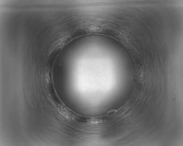 X0000060550746200511171538