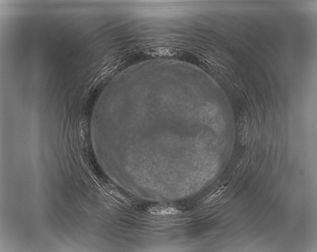 X0000060550747200511171538