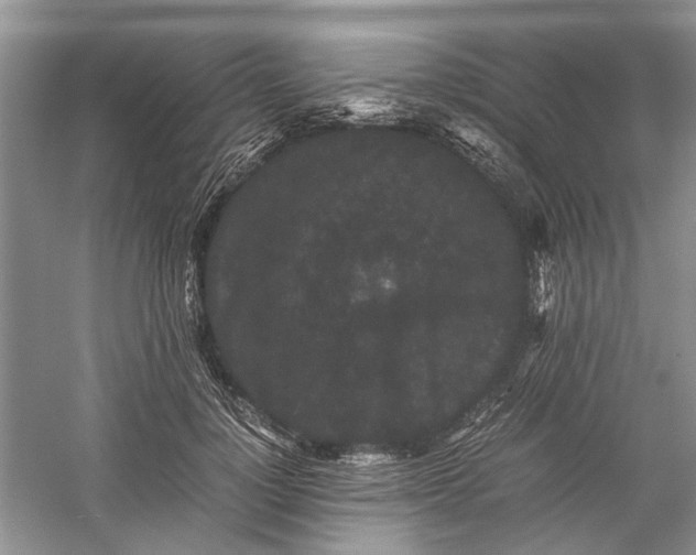 X0000060550748200511171538