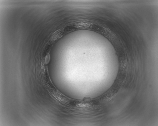 X0000060550749200511171538